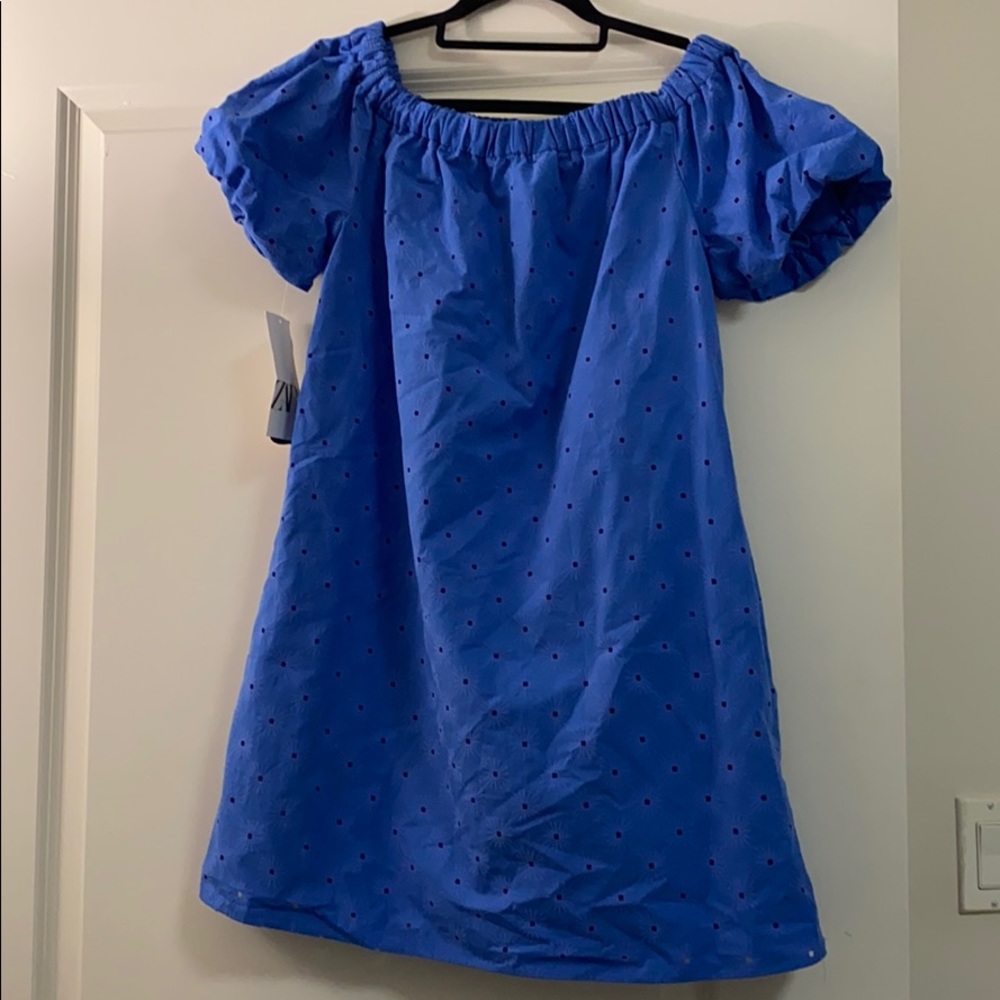 NWT ZARA embroidery dress